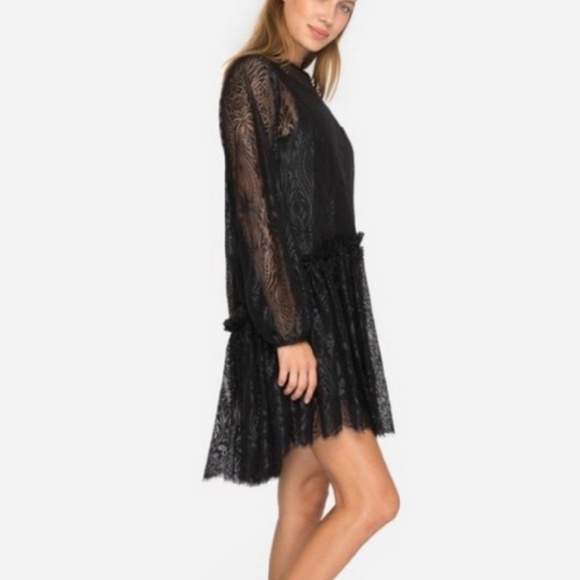 JOHNNY WAS Rai Lace Dress - Picture 5 of 8